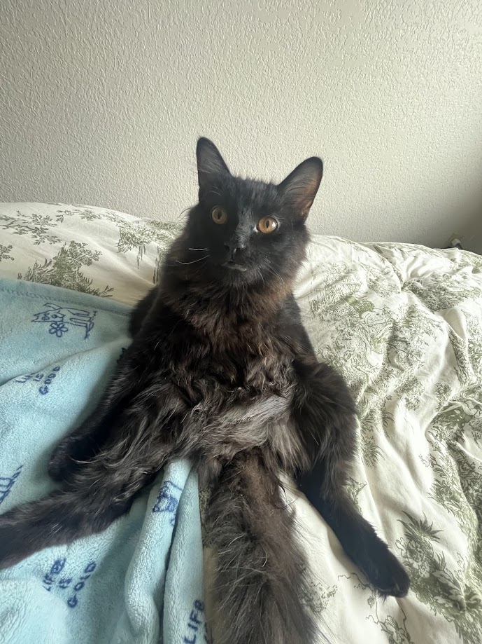 A photo of Lloyd.