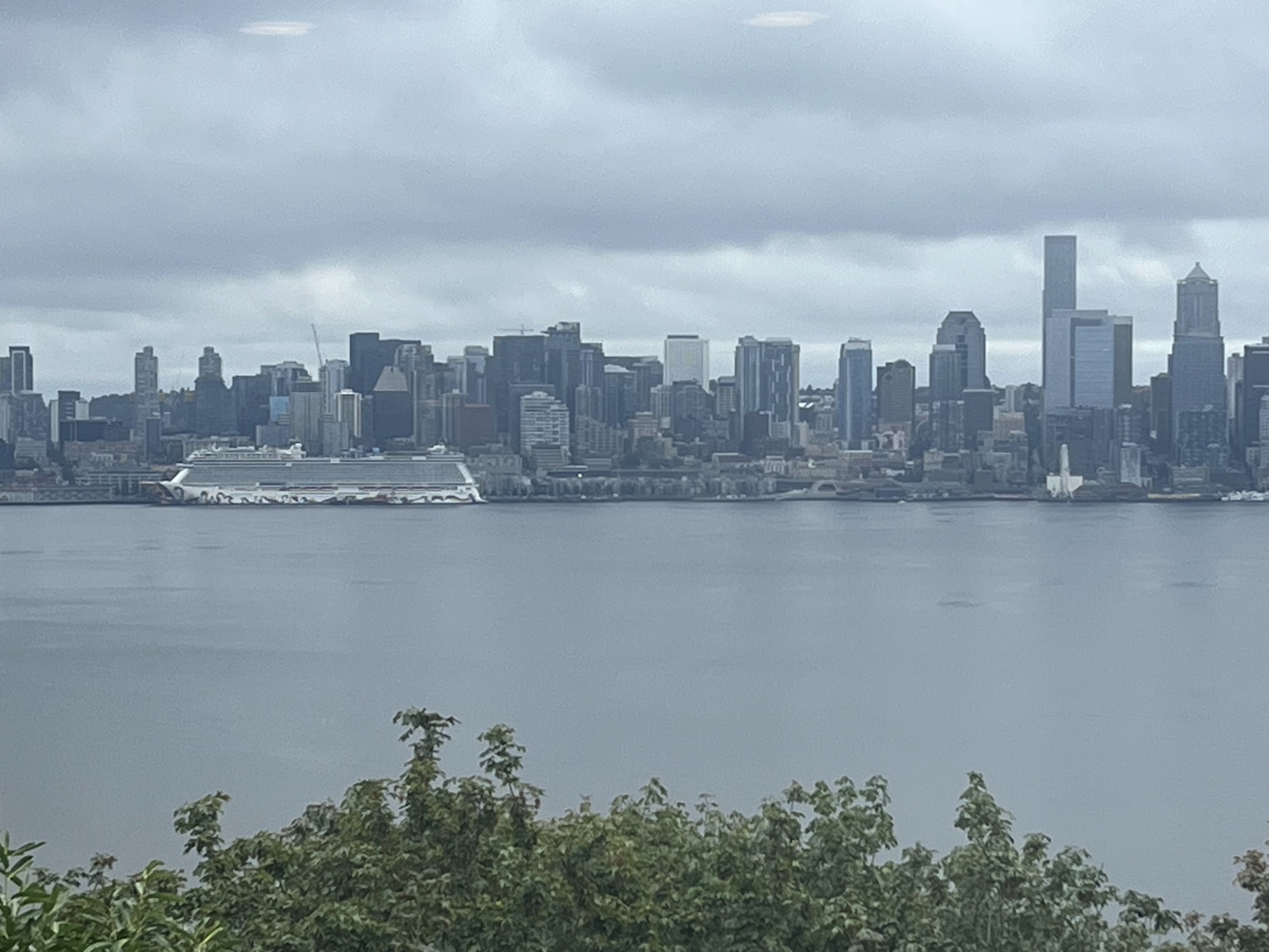 Seattle Fog