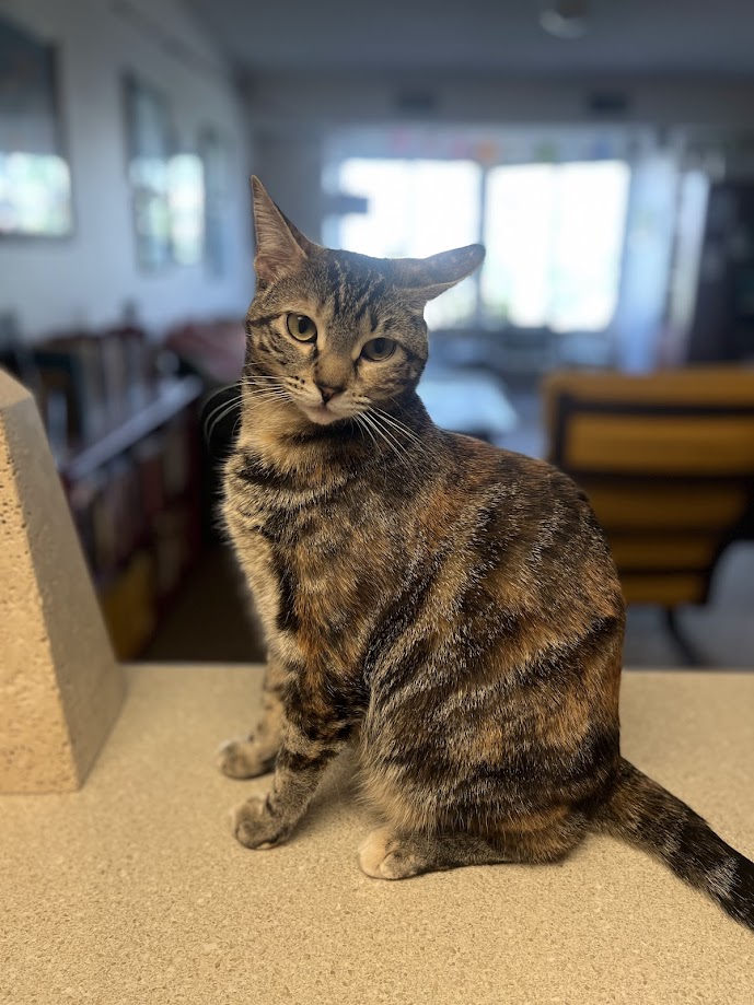 A photo of Poppy.